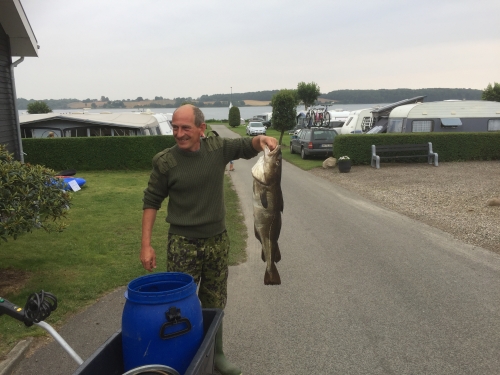 camping og fiskeri. fladfisk, torsk, ørred mm